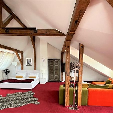 City Penthouse Mit Dachterrasse フライブルク エクステリア 写真