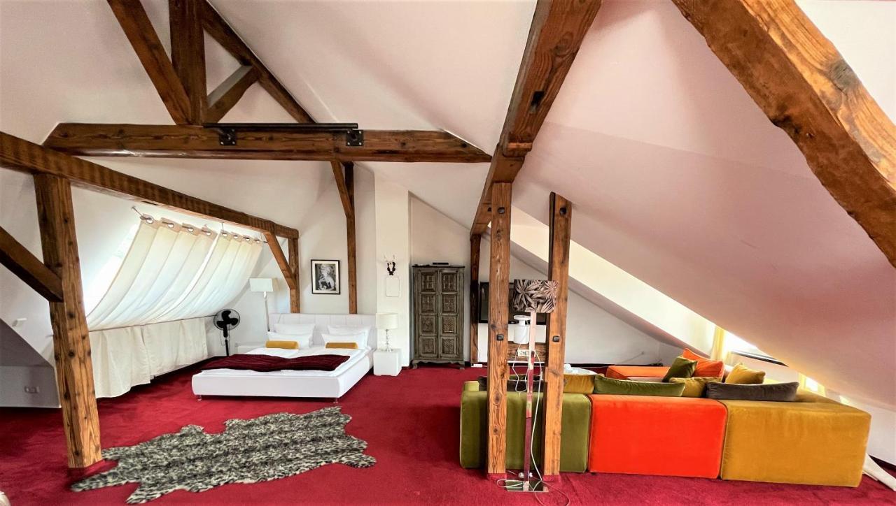 City Penthouse Mit Dachterrasse フライブルク エクステリア 写真